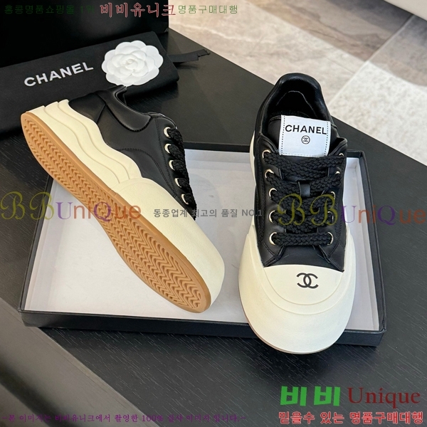   Ŀ CH4976888-5
