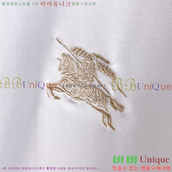    Ƽ BU256479-2
