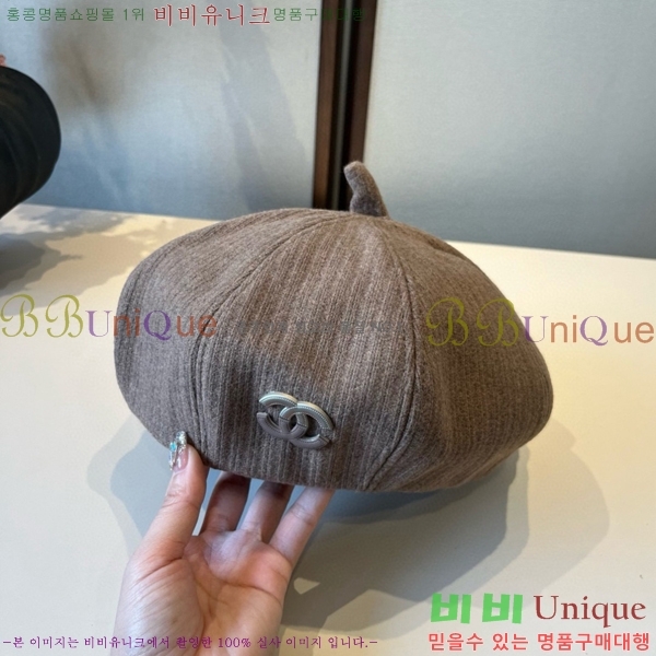 *  CH2520877-1